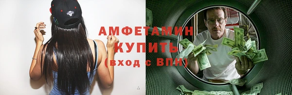 спиды Ельня