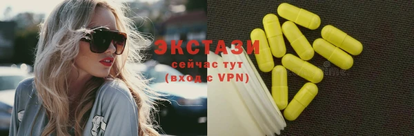 спиды Ельня