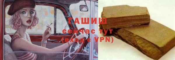 спиды Ельня