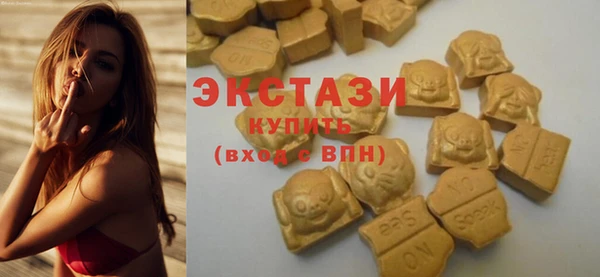 спиды Ельня
