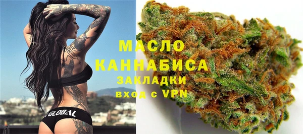 спиды Ельня