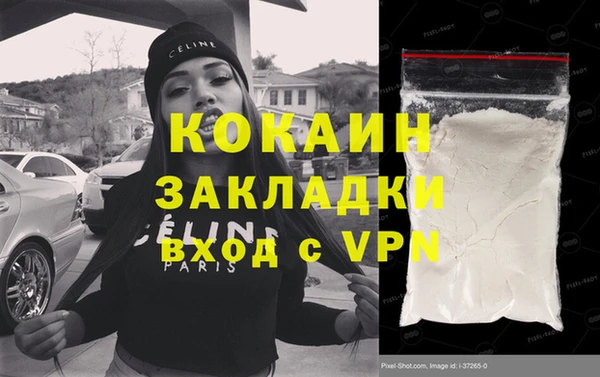 спиды Ельня