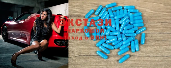 спиды Ельня
