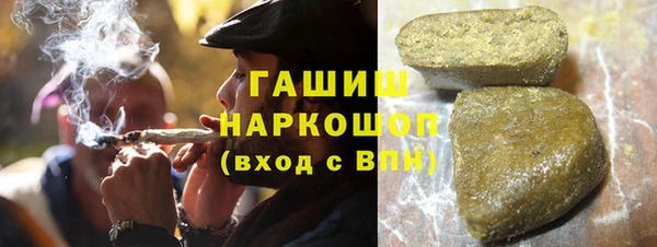 спиды Ельня