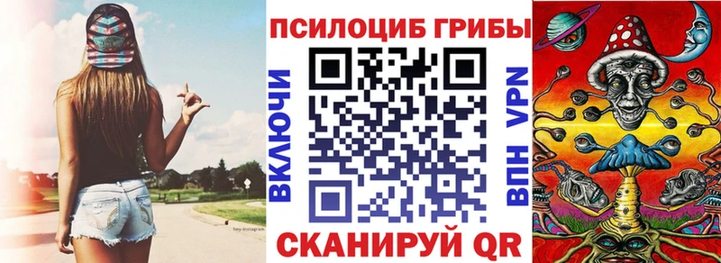 Псилоцибиновые грибы ЛСД  дарнет шоп  Елец 