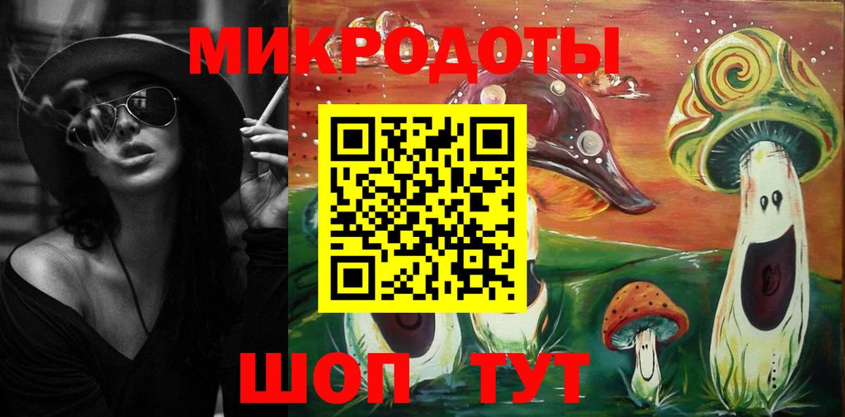 Галлюциногенные грибы Psilocybe Елец