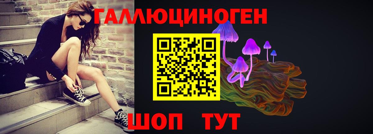 Галлюциногенные грибы ЛСД Елец